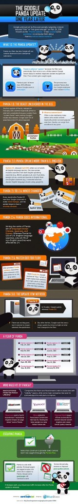 Panda update infographic